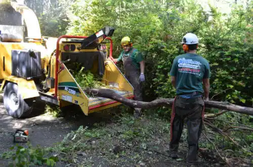 tree services Fort Oglethorpe